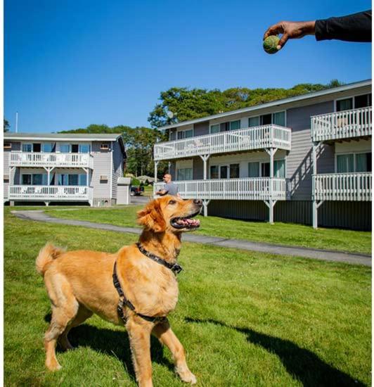 Hotel Smuggler's Cove Boothbay